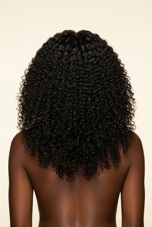 Kinky Curly Raw Vietnamese Wig – Human Model Back